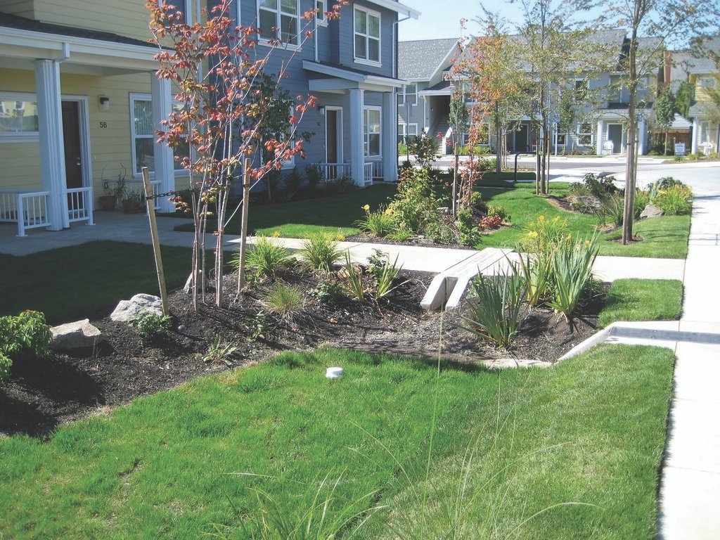 Rain Garden Ideas