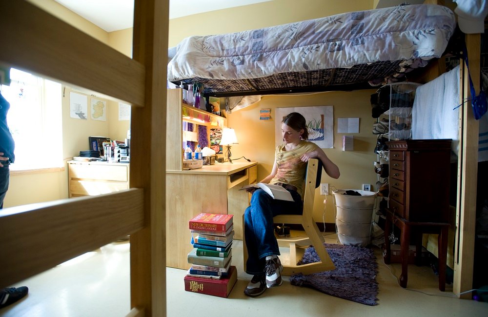 Earthy Dorm Room