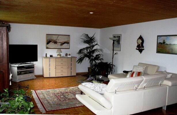 Wood Ceiling Ideas