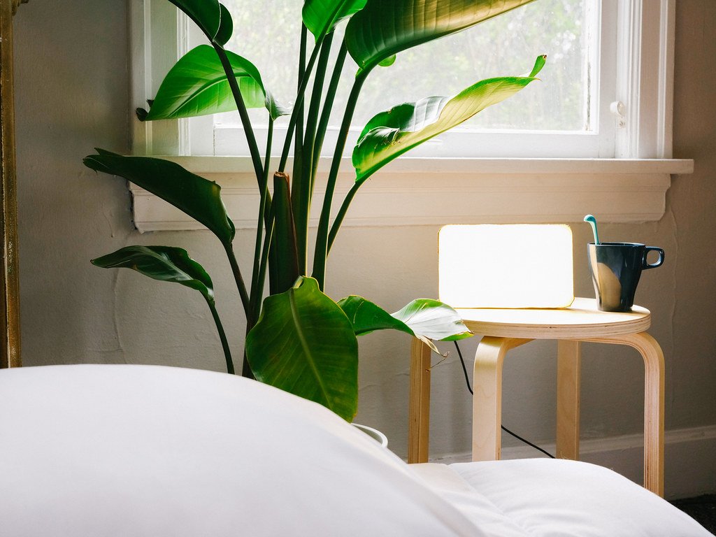 Minimalist Bedroom Design Ideas